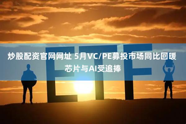 炒股配资官网网址 5月VC/PE募投市场同比回暖 芯片与AI受追捧