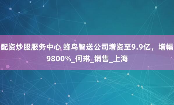 配资炒股服务中心 蜂鸟智送公司增资至9.9亿，增幅9800%_何琳_销售_上海